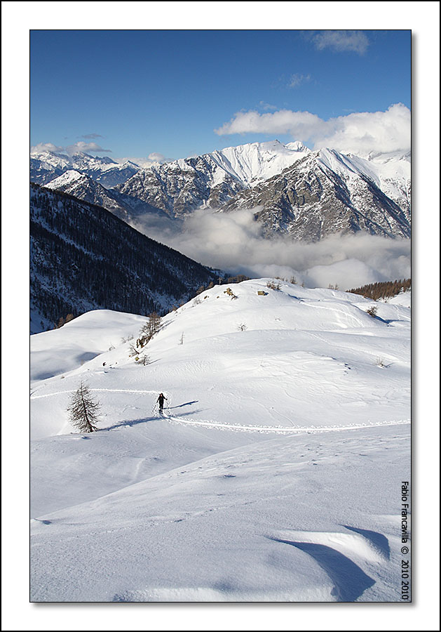 48719-colgiassit11.jpg