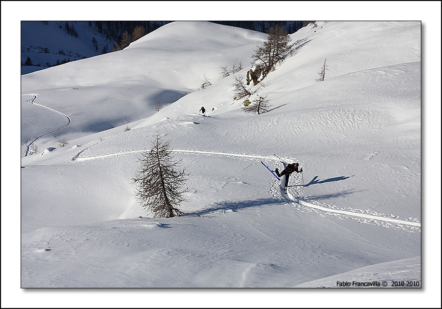 48720-colgiassit12.jpg