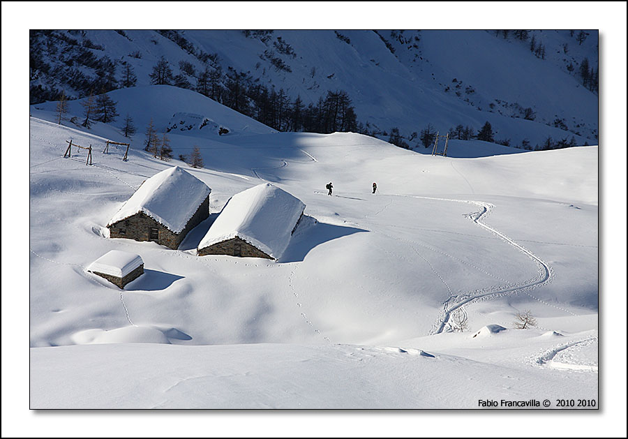 48721-colgiassit13.jpg