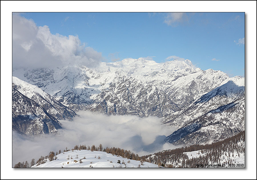 48722-colgiassit10.jpg