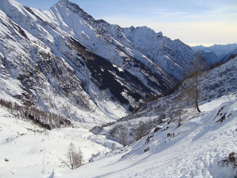 48786-sermenzasmall.jpg