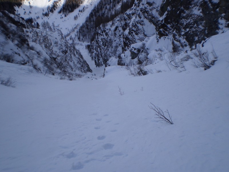 48801-il-canale-dall-alto.jpg
