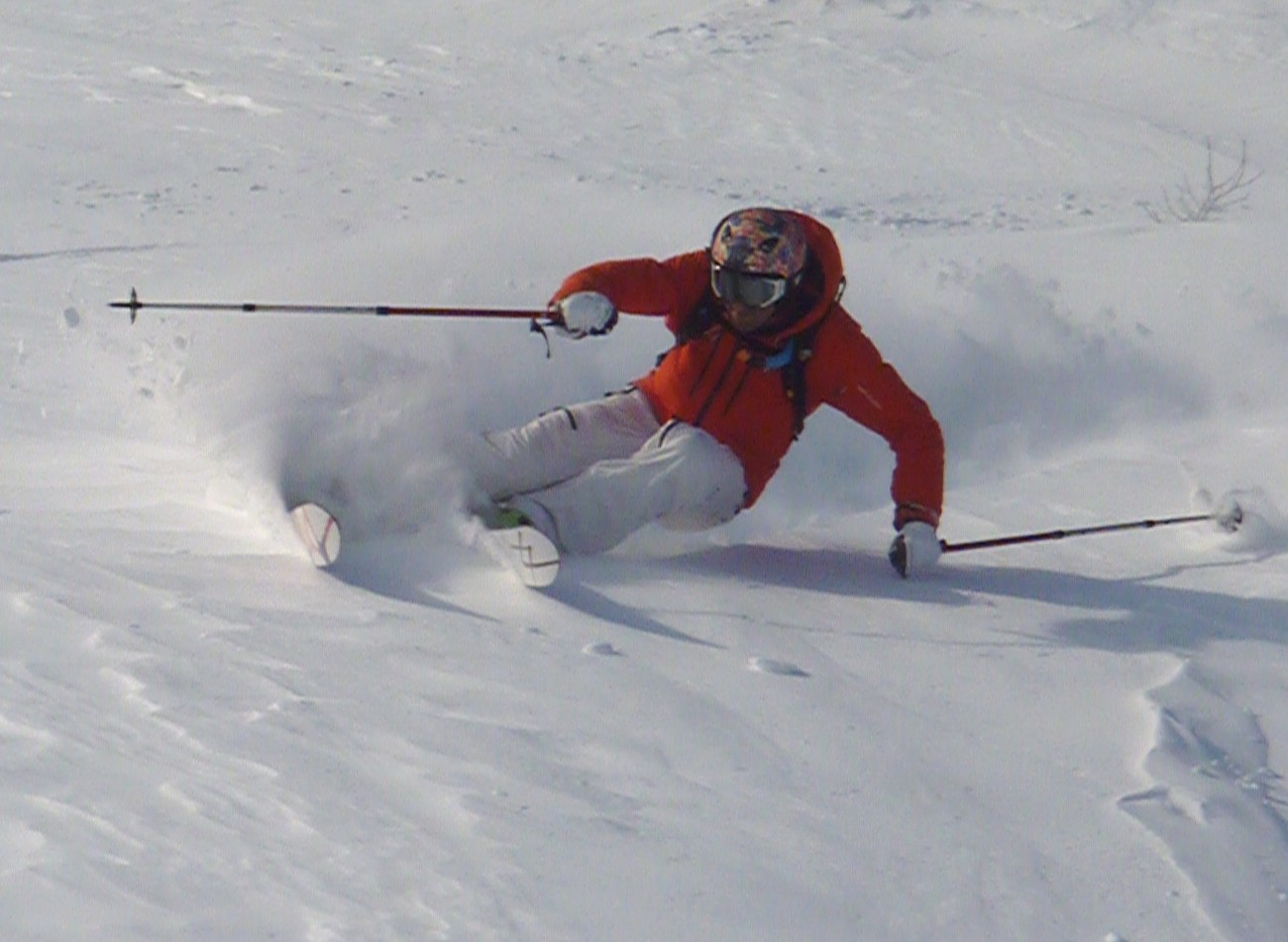 49254-copia-di-p1020920.jpg