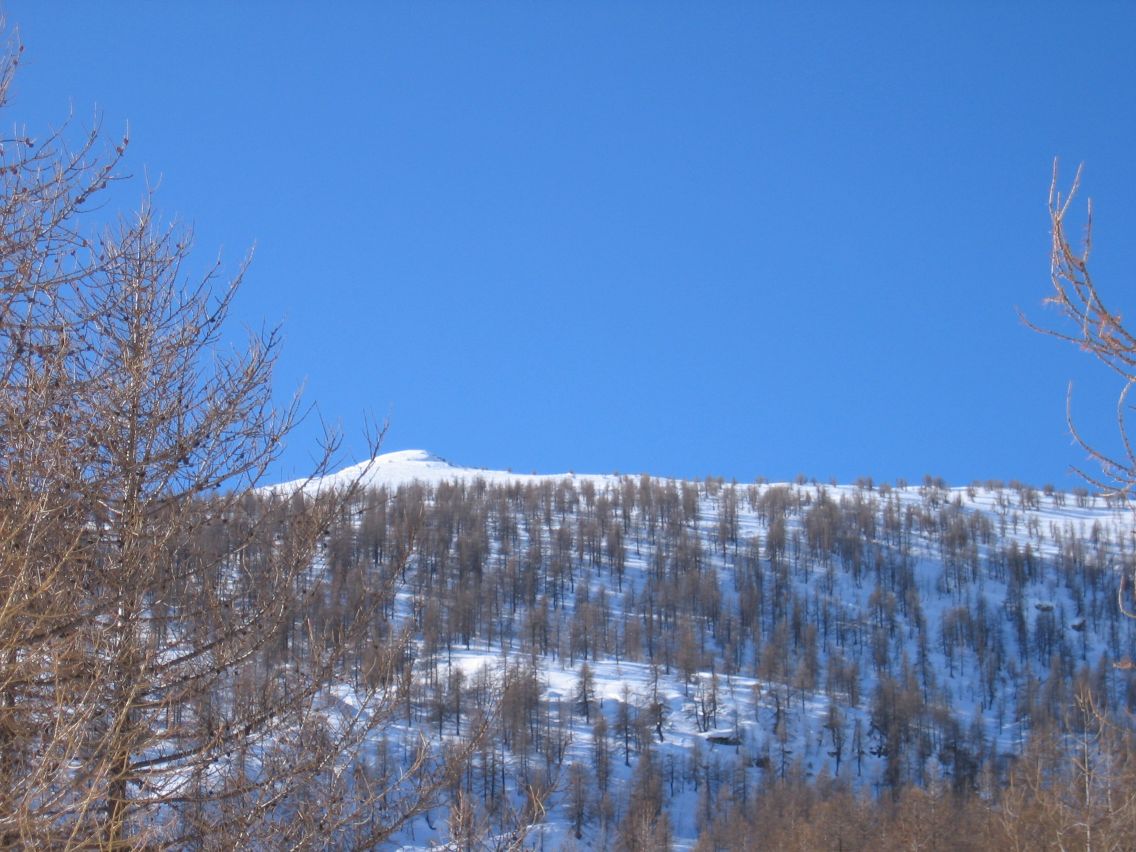49340-resizedimg0004.jpg