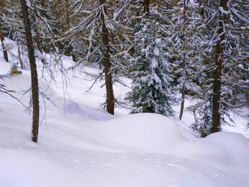 49399-tognola-6-feb-2010-frap.jpg