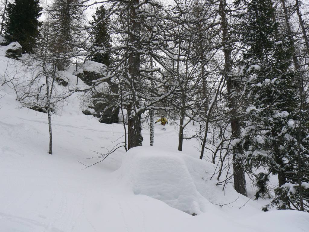 49400-tognola-6-feb-2010001.jpg