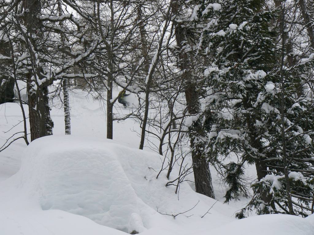 49403-tognola-6-feb-2010018.jpg