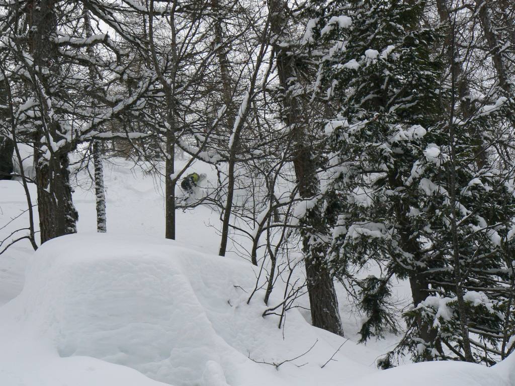 49404-tognola-6-feb-2010019.jpg