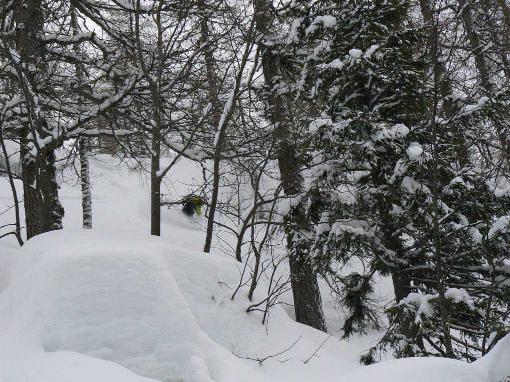 49405-tognola-6-feb-2010020.jpg