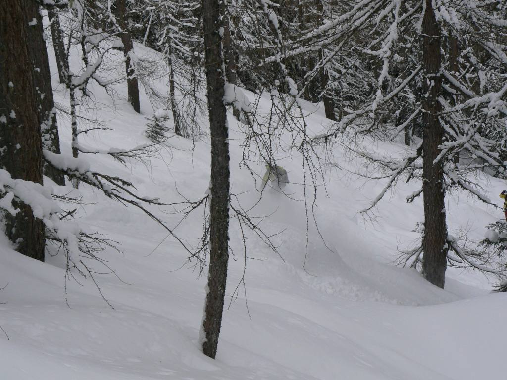 49406-tognola-6-feb-2010023.jpg