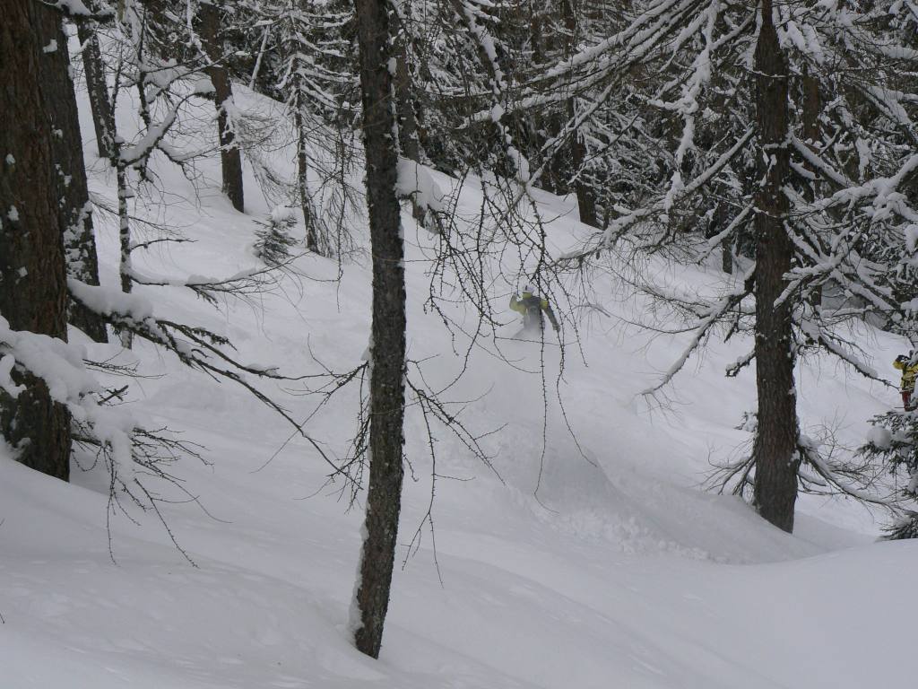 49407-tognola-6-feb-2010024.jpg