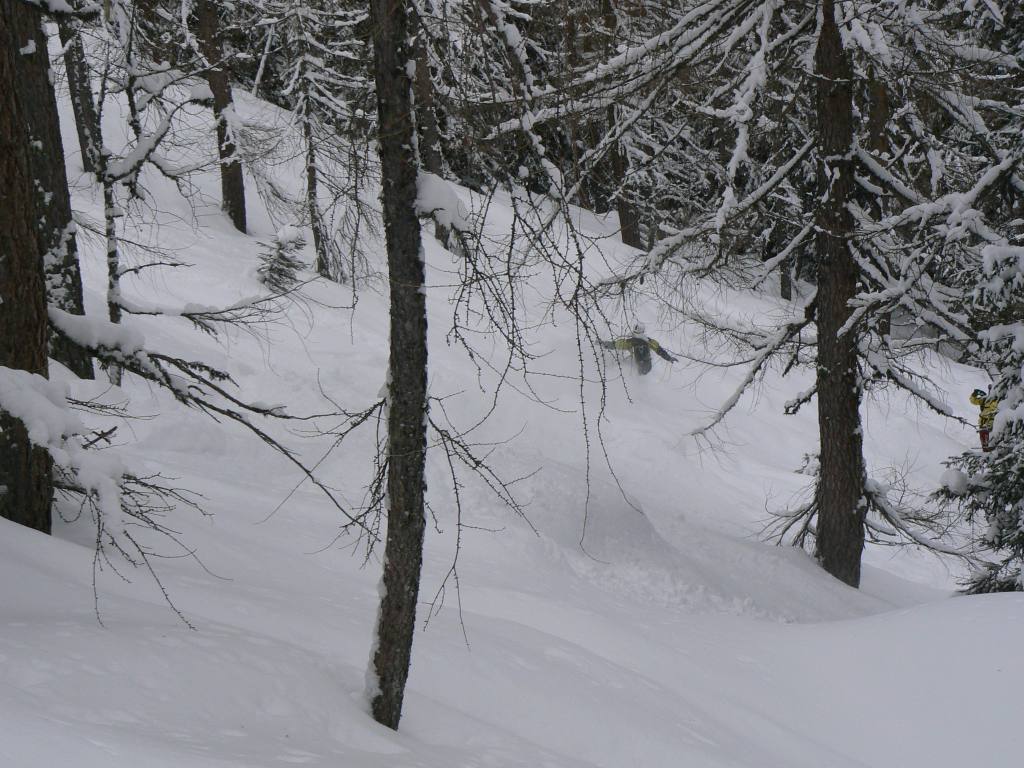 49408-tognola-6-feb-2010025.jpg