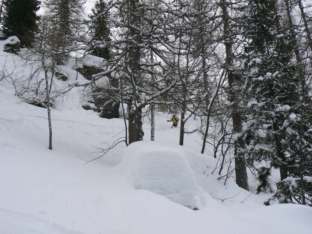 49409-tognola-6-feb-2010003.jpg