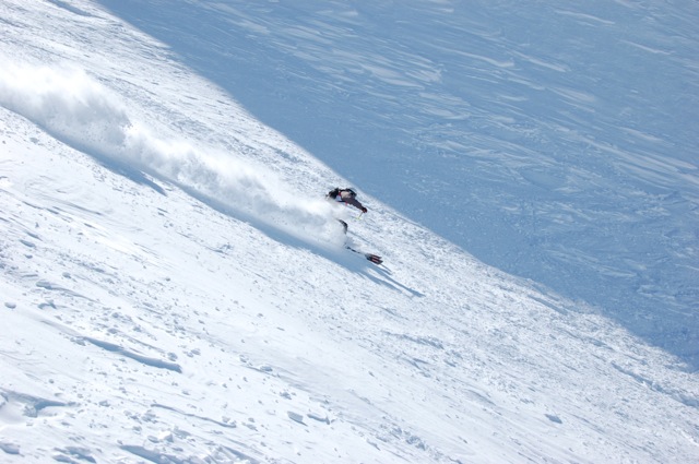 50474-powder.jpg