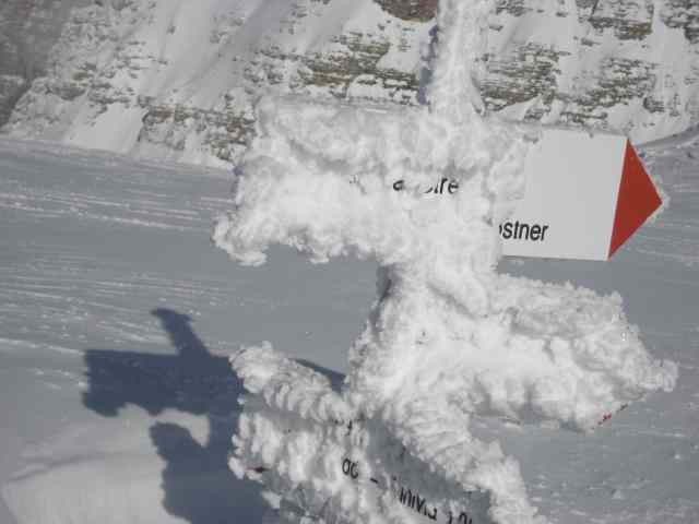 50576-dolomiti20108.jpg