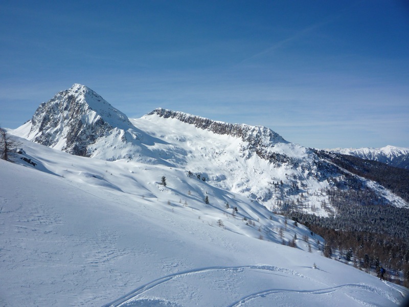 50743-p1030551.jpg