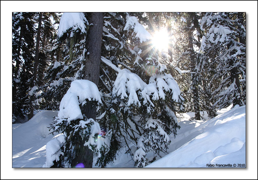 50746-lathuile02.jpg