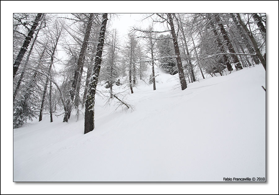 50788-lathuile03.jpg