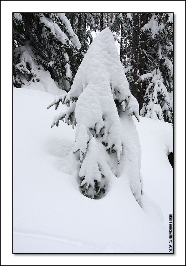 50791-lathuile06.jpg