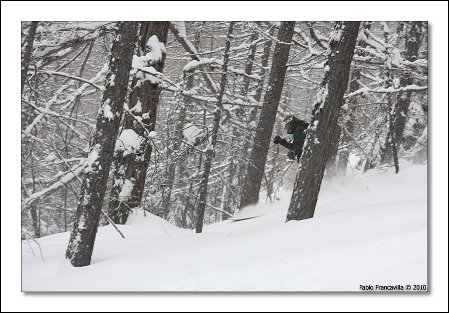 50797-lathuile17.jpg