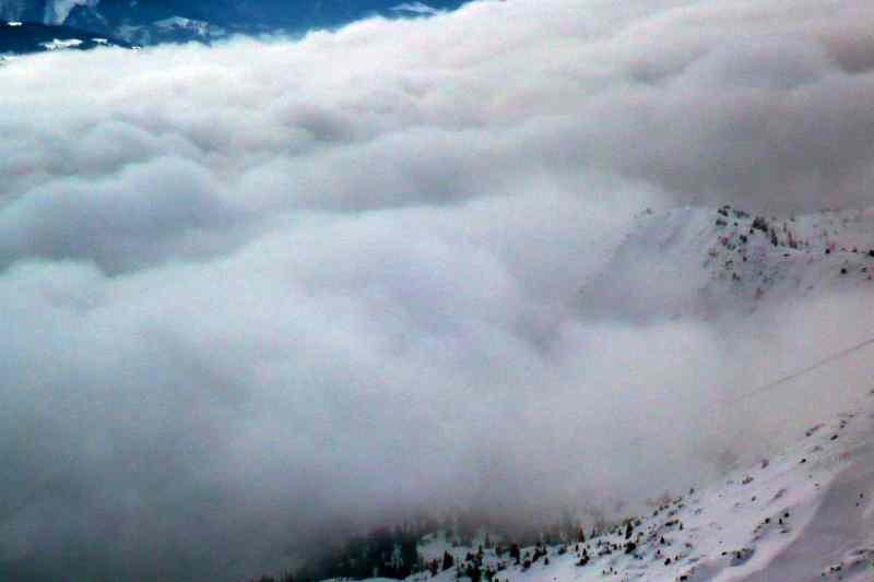 51070-flims5.jpg