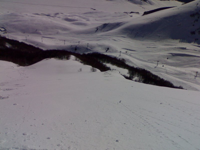 51246-07032010186.jpg