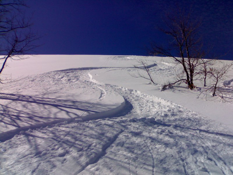 51263-07032010201.jpg