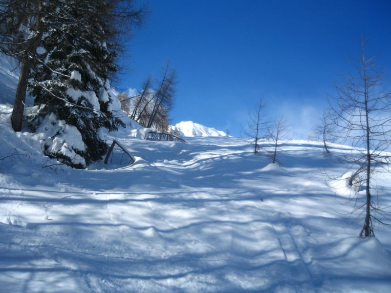 51472-bbb-13.jpg