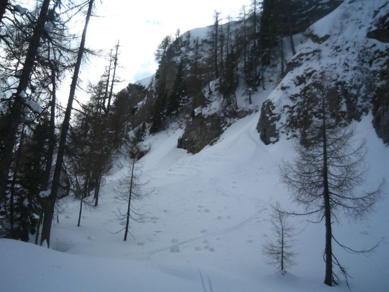 51477-img0007.jpg