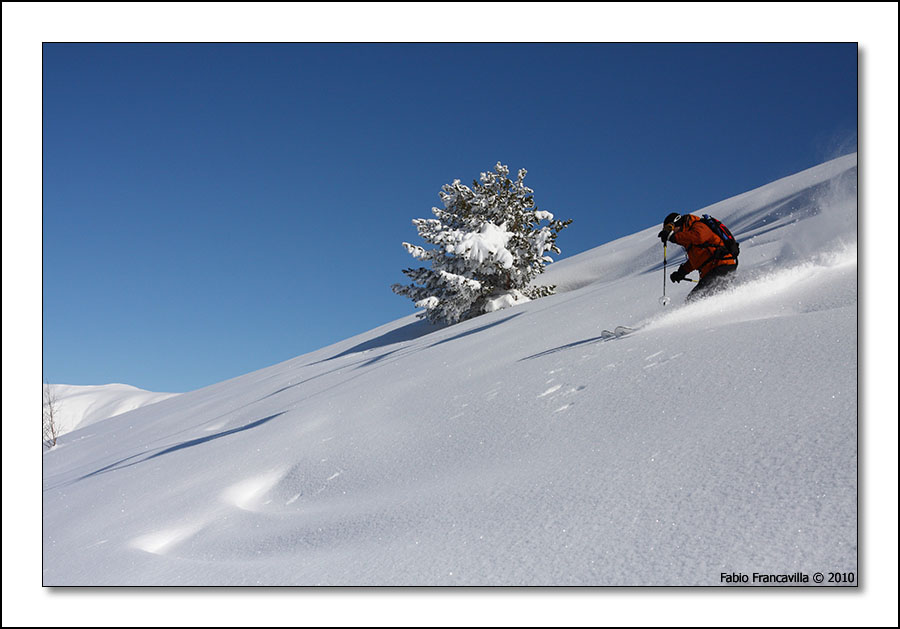 51621-limone27.jpg