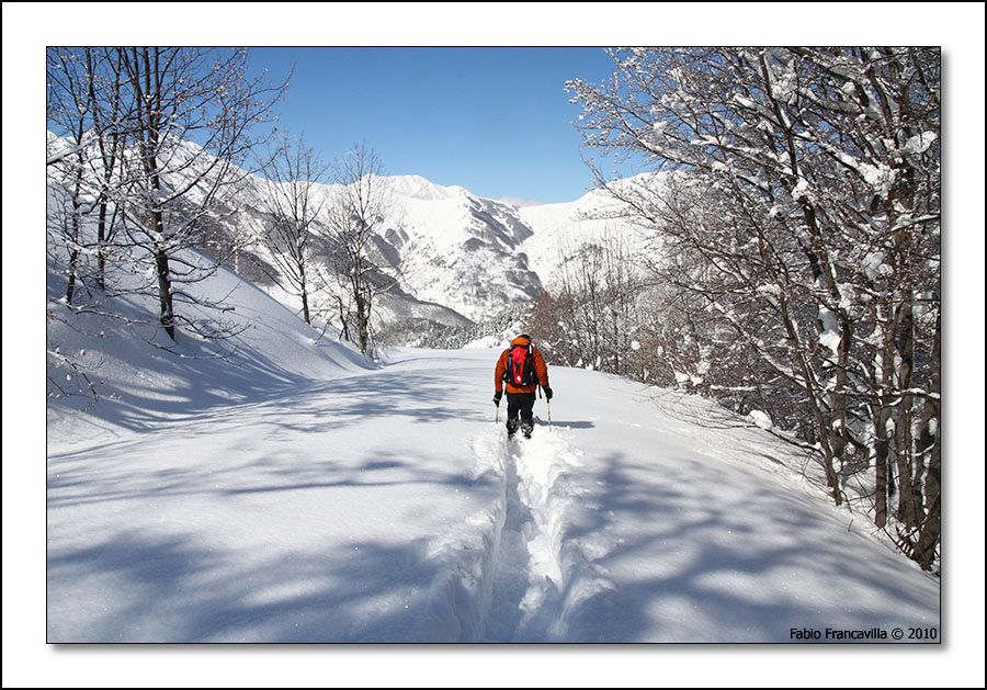 51625-limone36.jpg