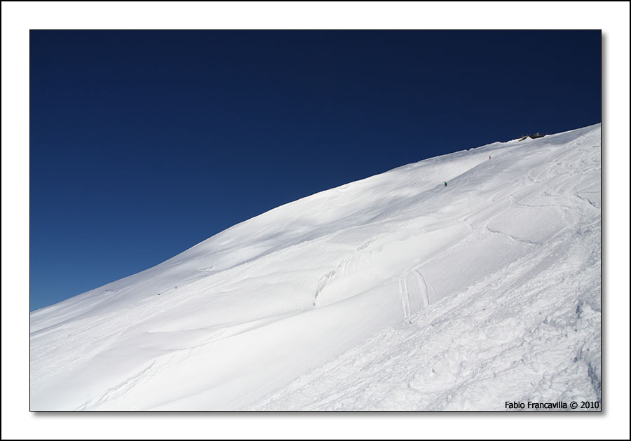51630-limone43.jpg