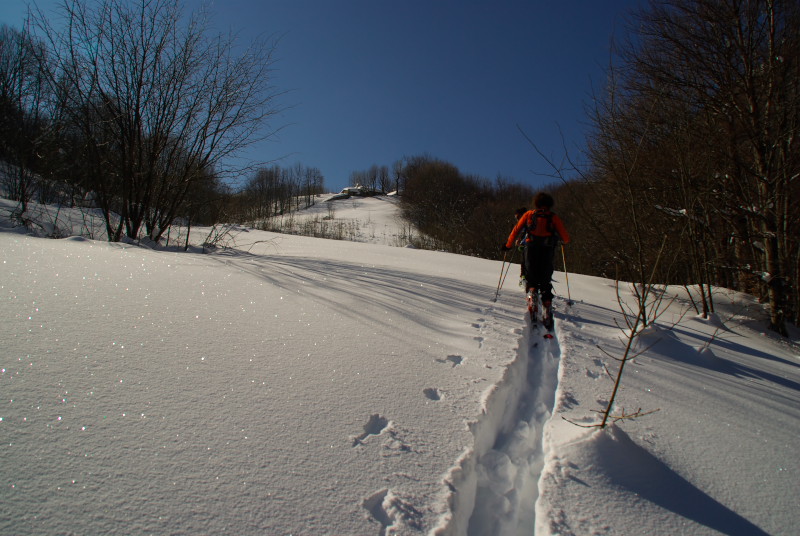 51659-sg107828.jpg