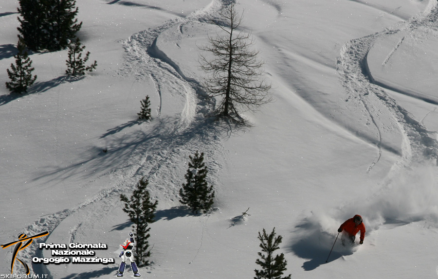 51693-erni-freeride.jpg