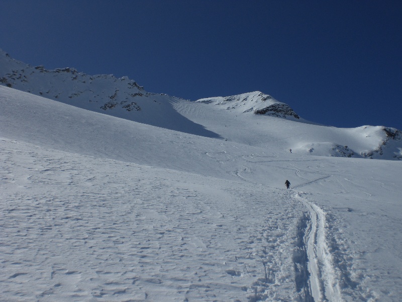 51946-cimg5894.jpg