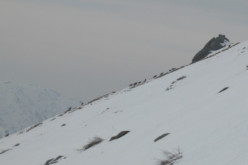 52297-img3992.jpg