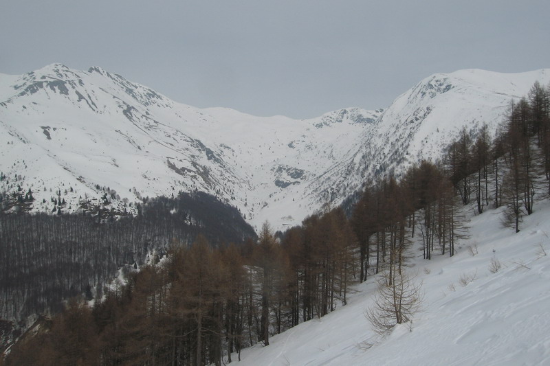 52298-img3998.jpg