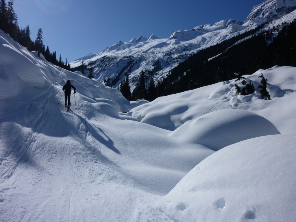 52311-canada-9.jpg