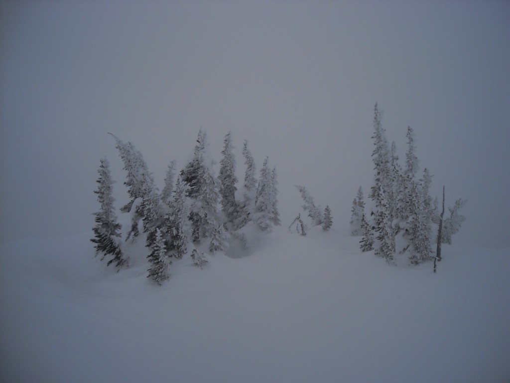 52337-canada-37.jpg