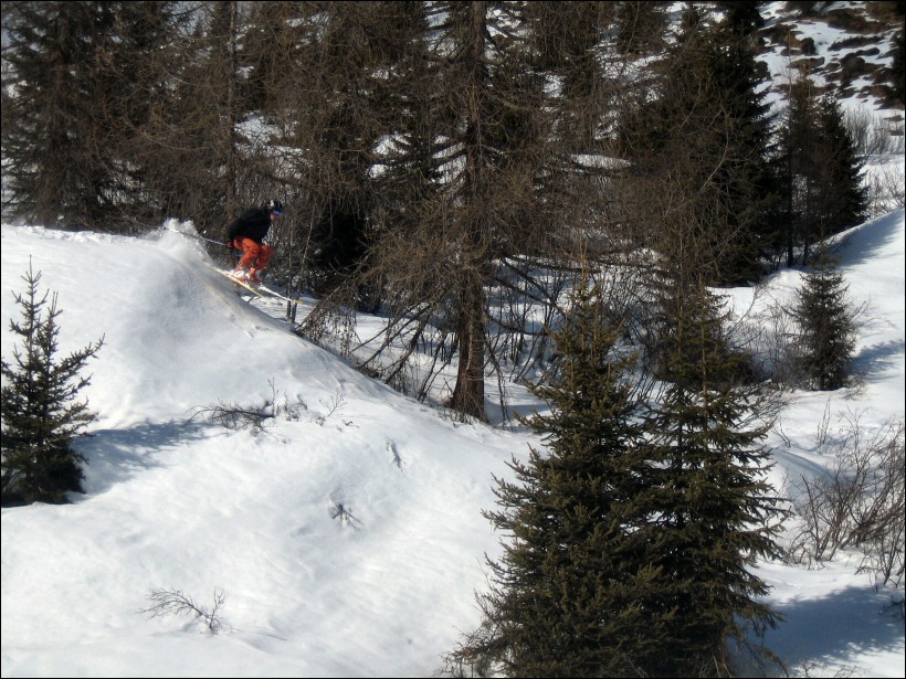 5257-boschetti-fabio.jpg