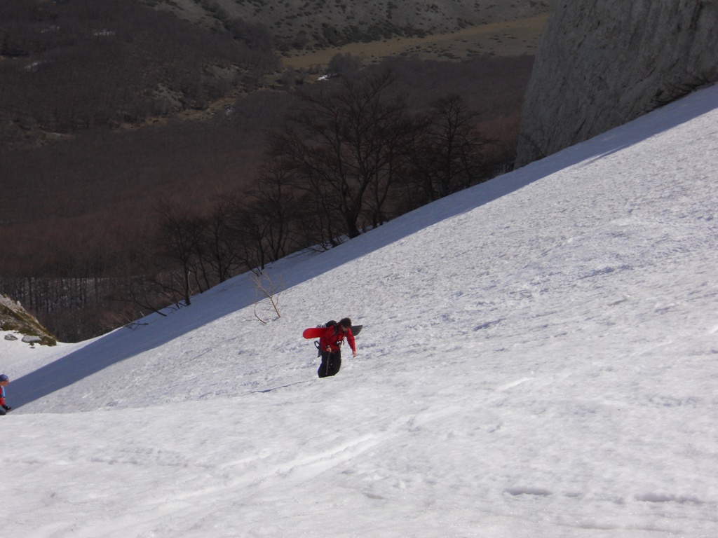 52663-dscn0790web.jpg