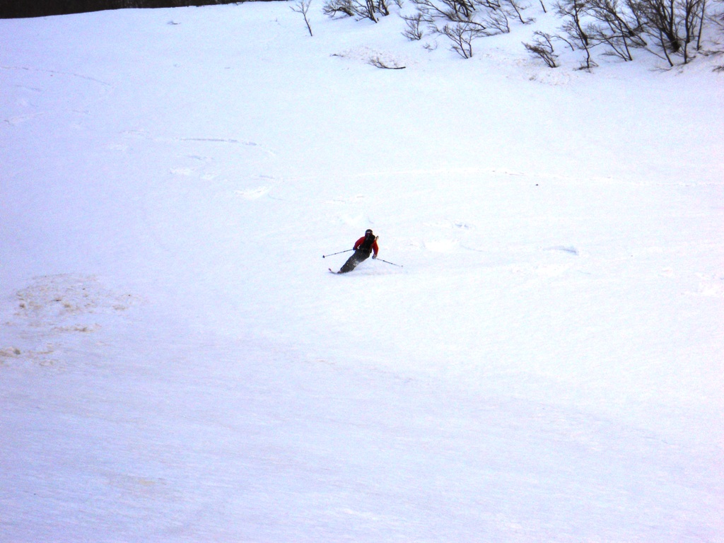 52685-dscn0850web.jpg