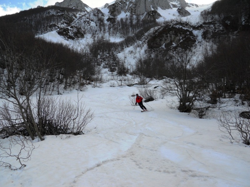 52698-dscn0917web.jpg