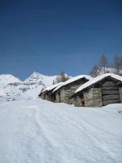 53428-immagine-016.jpg