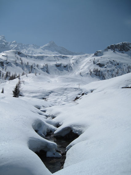 53431-immagine-038.jpg