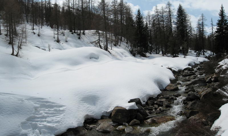 53975-p2.jpg