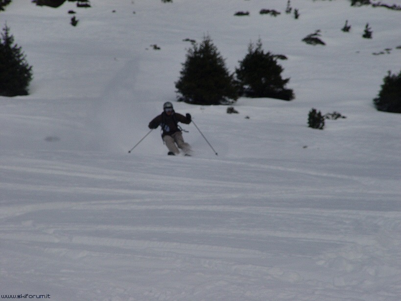 5425-freeride-sochers.jpg