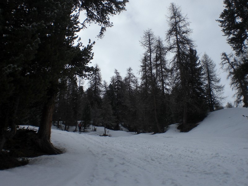 54488-cimg6387.jpg