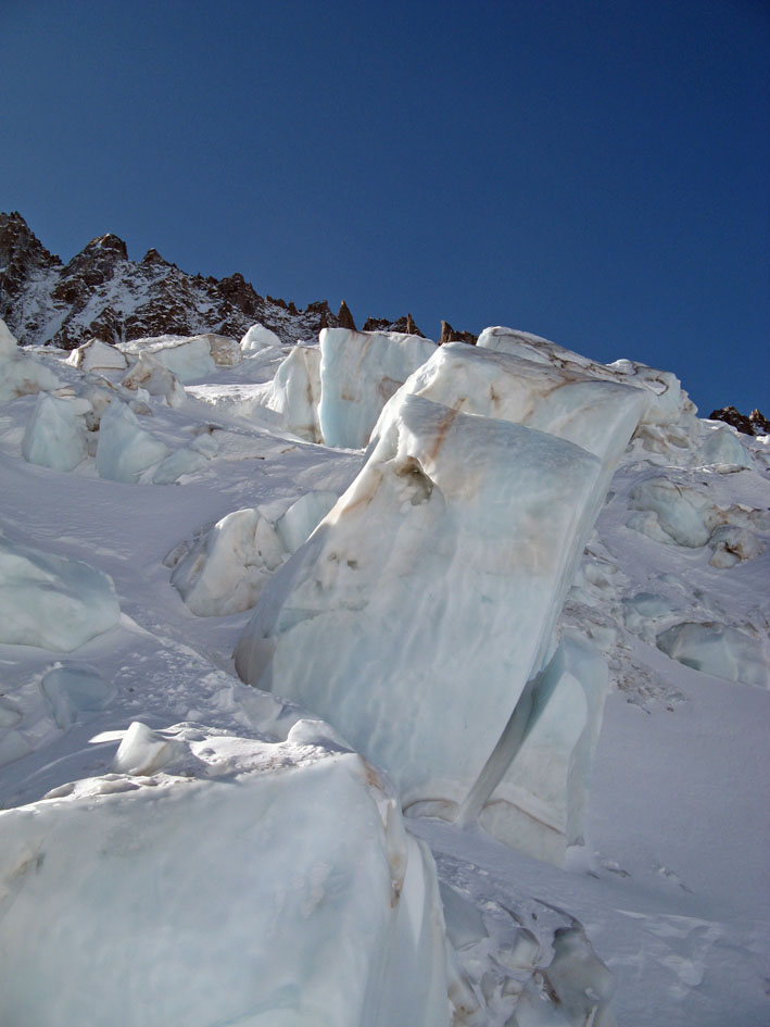 5546-sculture16.jpg