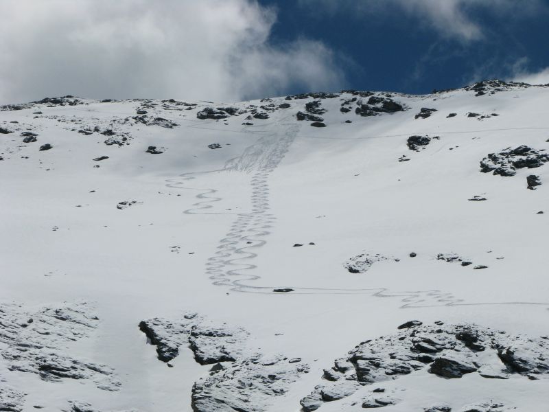 55545-img7581.jpg